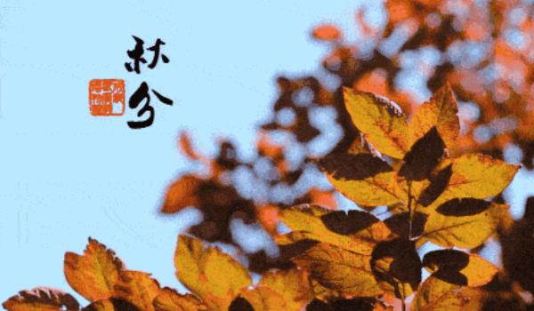 360截圖20220216183914338.jpg