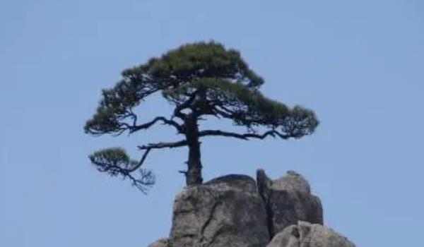 360截圖20220224192419890.jpg