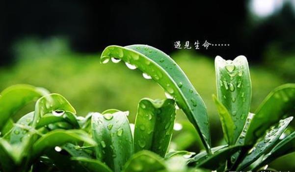 360截圖20220303113916372.jpg