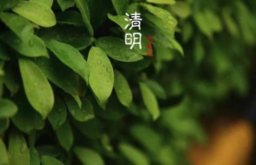 清明節(jié)小孩能不能上墳燒紙?2021清明節(jié)男的上墳還是女的上墳