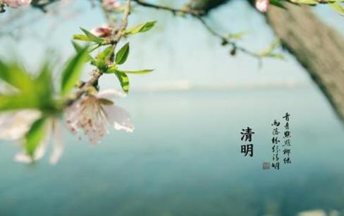 清明節(jié)上墳前三后四算當(dāng)天嗎?清明節(jié)買的花可以拿回家嗎