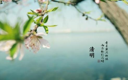 清明燒紙要注意什么?清明節(jié)上墳買花買幾朵好