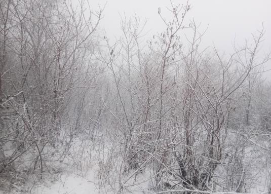 下雪天開車用前驅(qū)好還是后驅(qū)好?新手冰雪天氣行車駕駛技巧