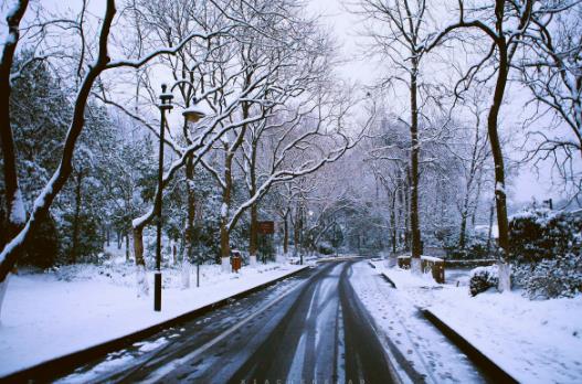 下雪天汽車要裝防滑鏈嗎?下雪天需要把雨刮器豎起來嗎?