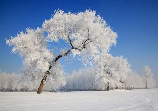 下雪天車停在外面的怎么辦?下雪天車子蓋什么合適?