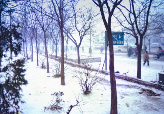 下雪天車停在外面的怎么辦?下雪天車子蓋什么合適?
