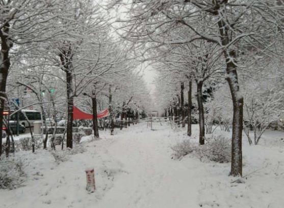下雪天車停在外面的怎么辦?下雪天車子蓋什么合適?