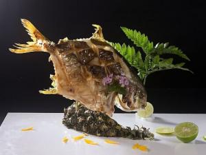 孕婦可以吃多寶魚嗎？孕婦吃多寶魚的注意事項