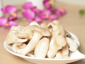 孕婦能吃平菇嗎？孕婦吃平菇的做法