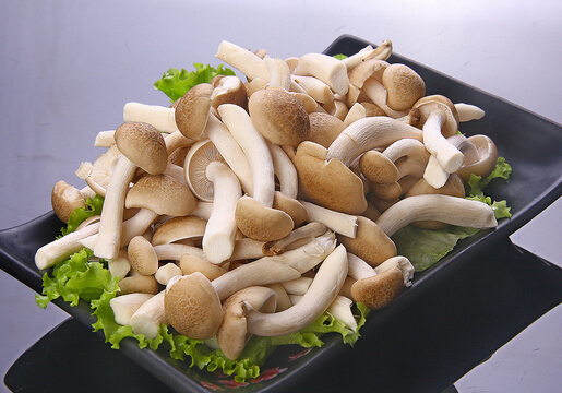 產(chǎn)婦可以吃蟹味菇嗎?產(chǎn)婦吃蟹味菇的禁忌