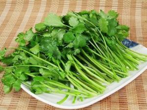 孕婦能不能吃香菜？孕婦可以吃香菜嗎