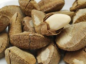 孕婦可以吃鮑魚果嗎？孕婦吃鮑魚果的食用禁忌