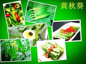 孕婦能吃黃秋葵嗎？孕婦吃黃秋葵有什么好處
