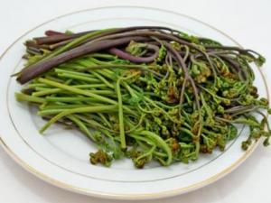 孕婦吃蕨菜有什么好處？孕婦吃蕨菜的做法