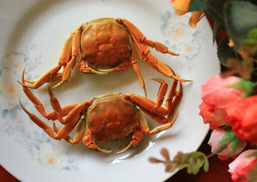 зĽ-зܳʲô