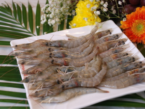 食用青蝦的注意事項(xiàng)-青蝦的營養(yǎng)價(jià)值