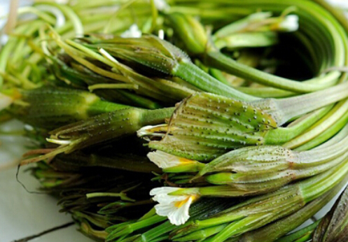 常吃海菜碘會(huì)過(guò)量嗎?海菜的功效