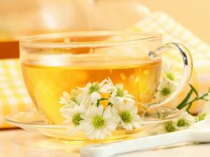 兒童不要喝菊花茶-什么人不可以喝菊花茶？