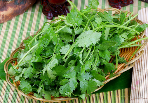 感冒病人飲食要適量-感冒不能吃什么?