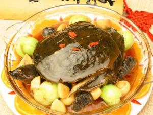 甲魚不能和什么一起吃？吃甲魚有哪些飲食禁忌