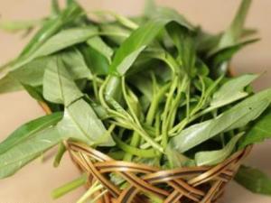 如何挑選空心菜？吃空心菜的食用禁忌