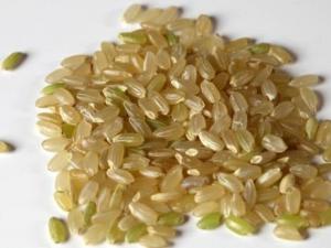 如何挑選糙米？吃糙米的食用禁忌