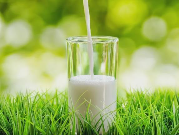 夏季7大飲食禁忌要注意:夏季忌多吃寒涼食物、熱性食物及調(diào)料