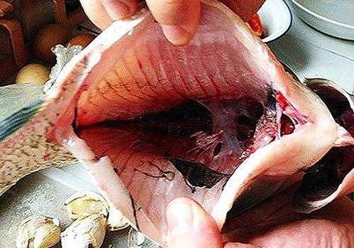 魚身上四個(gè)部位要少吃:魚腹黑膜、魚膽、魚頭、淡水魚生魚片