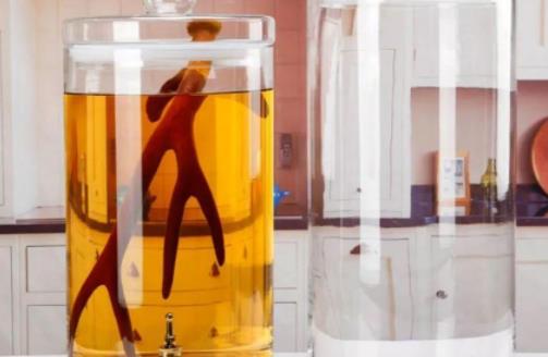 鹿茸酒過期了還能喝嗎 鹿茸酒過期了怎么處理