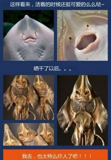 活著的時候很可愛,死了是不是很恐怖