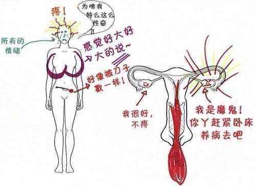 大姨媽是什么意思.jpg