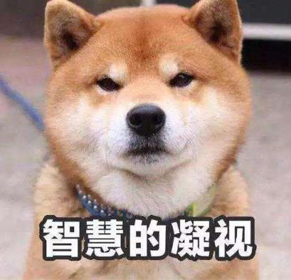 智慧的凝視.jpg