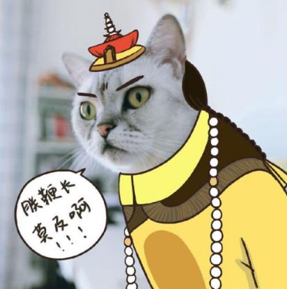“鞭”長(zhǎng)莫及是什么意思?鞭長(zhǎng)莫及是什么梗?有什么內(nèi)涵
