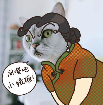 “鞭”長(zhǎng)莫及是什么意思?鞭長(zhǎng)莫及是什么梗?有什么內(nèi)涵