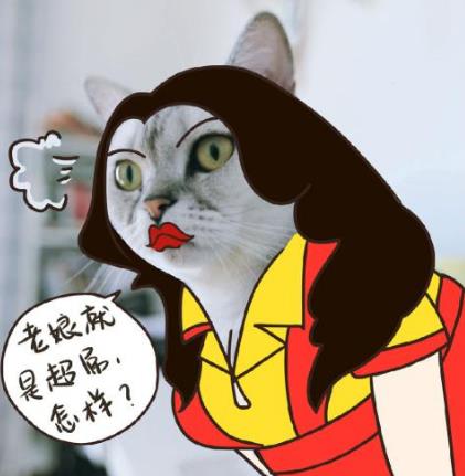 “鞭”長(zhǎng)莫及是什么意思?鞭長(zhǎng)莫及是什么梗?有什么內(nèi)涵