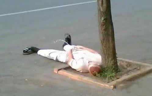 傷不起是什么意思?XXX你傷不起。「鞣N傷不起啊有木有