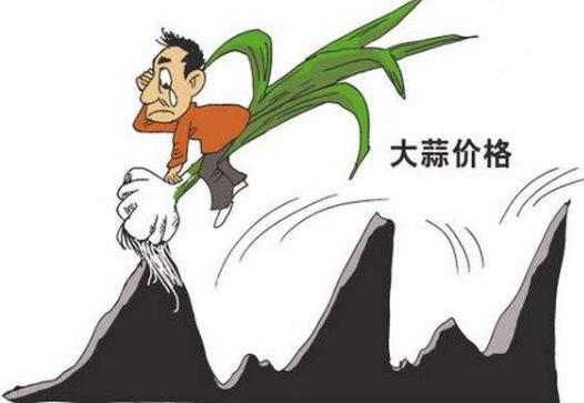 蒜你狠是什么意思?網(wǎng)絡(luò)用語(yǔ)蒜你狠的來(lái)源 大蒜漲價(jià)原因