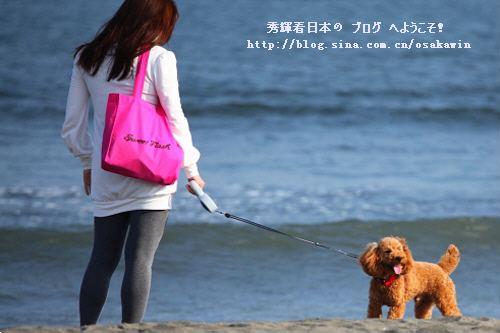 敗犬女是什么意思?敗犬女的特征性格及想法?典型的敗犬女是怎樣的