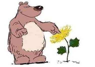 圖種熊菊是什么意思?發(fā)圖不發(fā)種 菊花被熊捅/萬人捅下一句