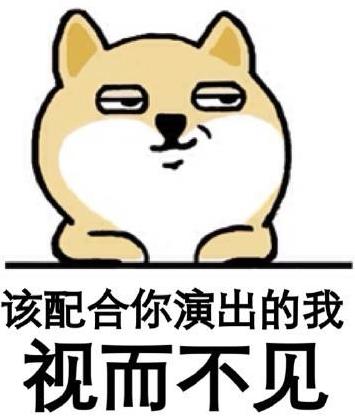 請開始你的表演是什么意思?什么梗?請開始你的表演表情包
