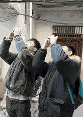 傻子看傻子覺得對方才是傻子是什么意思?倆男生和三只哈士奇對視