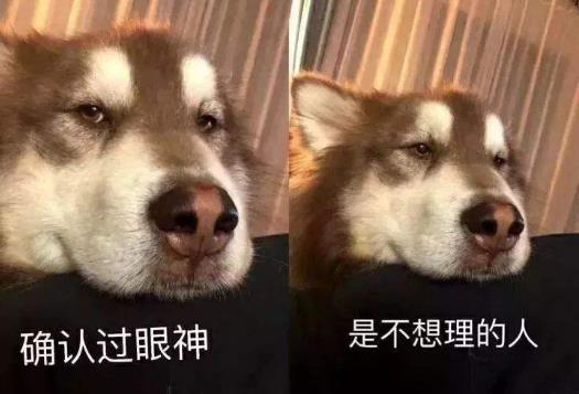 確認(rèn)過眼神是什么意思?確認(rèn)過眼神是什么梗?林俊杰醉赤壁中的歌詞