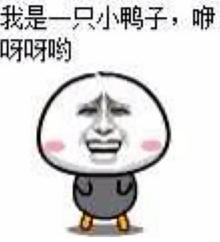 半吊子是什么意思?半吊子是罵人的話嗎?半吊子是哪里的方言