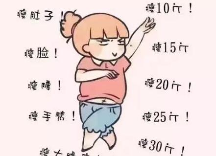 微胖是什么意思?男人都愛微胖女人?微胖是否是最好的身材