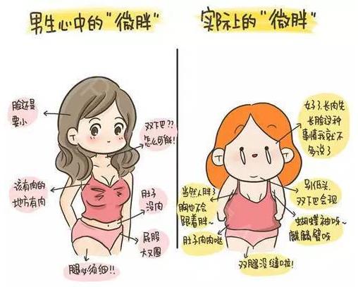 微胖是什么意思?男人都愛微胖女人?微胖是否是最好的身材
