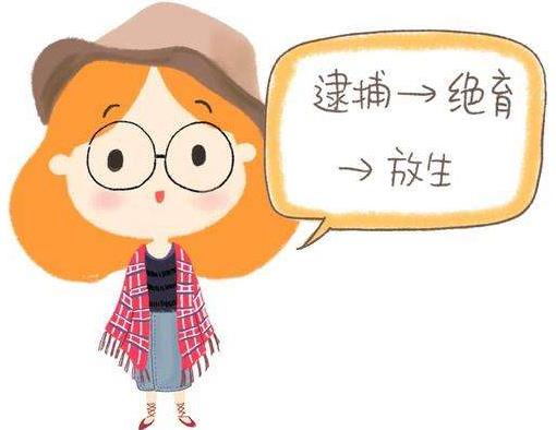 鏟屎官是什么意思?鏟屎官是什么樣的人?貓為什么喜歡看主人鏟屎