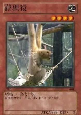 中國網(wǎng)絡十大神獸是什么意思?網(wǎng)絡十大神獸都是什么?神獸排行榜