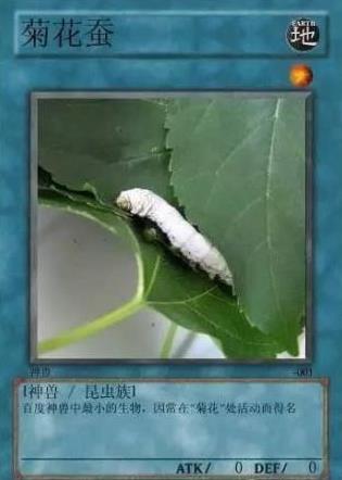 中國網(wǎng)絡十大神獸是什么意思?網(wǎng)絡十大神獸都是什么?神獸排行榜