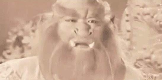 雨神蕭敬騰是什么意思?蕭敬騰為什么叫雨神?雨神真的到哪哪下雨嗎