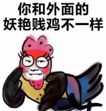 安靜如雞是什么意思?安靜的像只雞什么梗?安相機(jī)粉絲圈常用詞